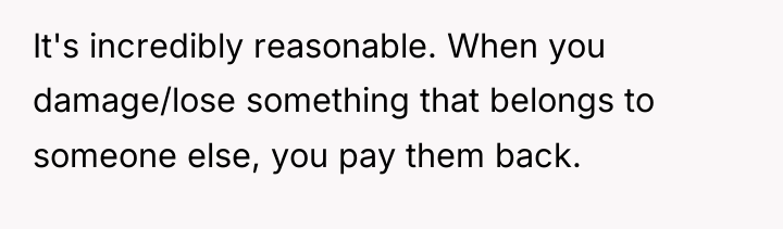 It's incredibly reasonable. When you damage/lose something that belongs to...
