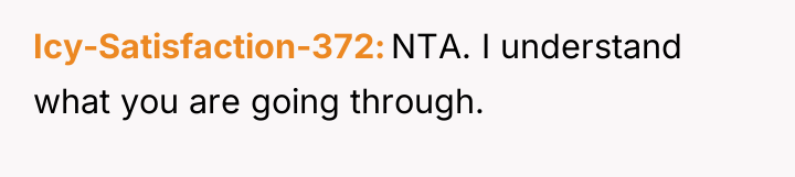 Icy-Satisfaction-372 NTA. I understand what you are going through.