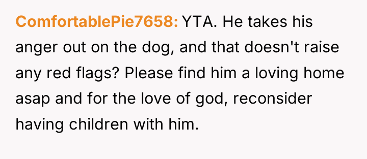 ComfortablePie7658 YTA. He takes his anger out on the dog,...