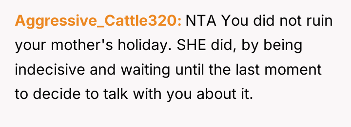 Aggressive_Cattle320 NTA You did not ruin your mother's holiday. SHE...