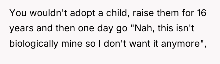 You wouldn't adopt a child, raise them for 16 years...