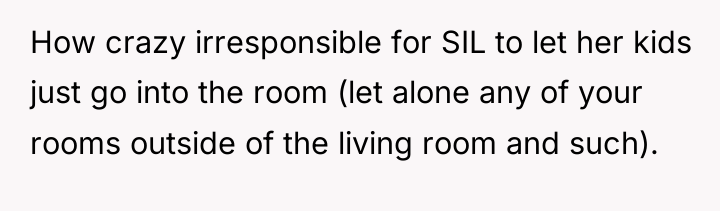 How crazy irresponsible for SIL to let her kids just...