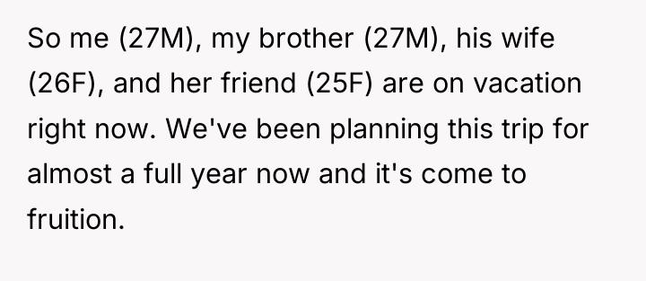 So me (27M), my brother (27M), his wife (26F), and...