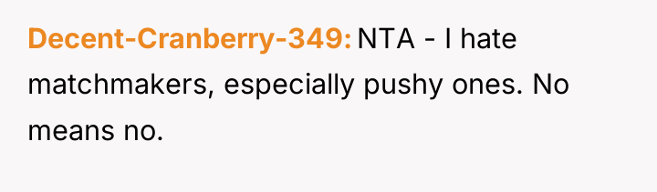 Decent-Cranberry-349 NTA - I hate matchmakers, especially pushy ones. No...