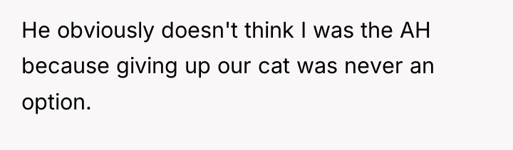 He obviously doesn't think I was the AH because giving...