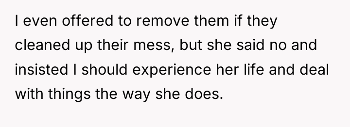 I even offered to remove them if they cleaned up...