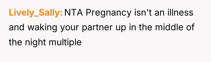 Lively_Sally NTA Pregnancy isn't an illness and waking your partner...