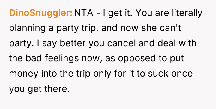 DinoSnuggler NTA - I get it. You are literally planning...