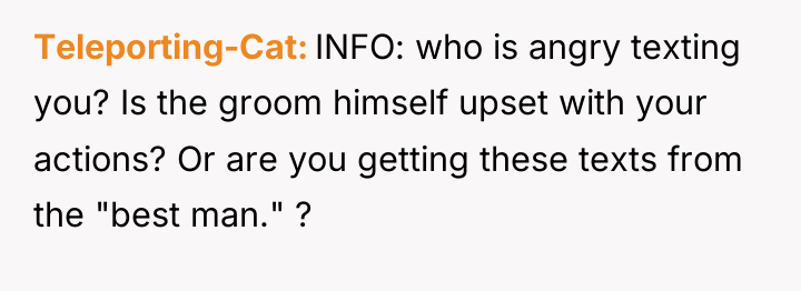 Teleporting-Cat INFO: who is angry texting you? Is the groom...