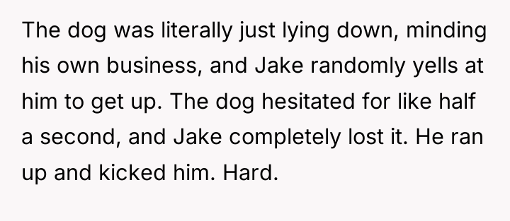 The dog was literally just lying down, minding his own...