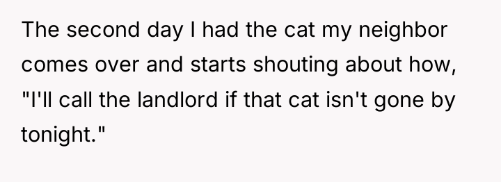 The second day I had the cat my neighbor comes...