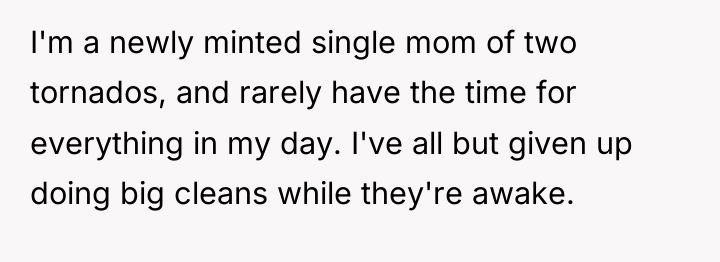 I'm a newly minted single mom of two tornados, and...