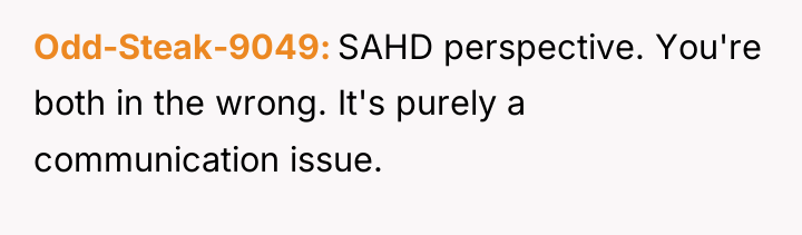 Odd-Steak-9049 SAHD perspective. You're both in the wrong. It's purely...