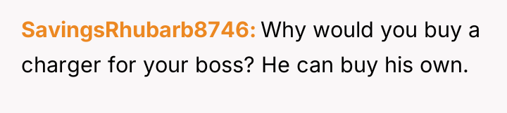 SavingsRhubarb8746 Why would you buy a charger for your boss?...