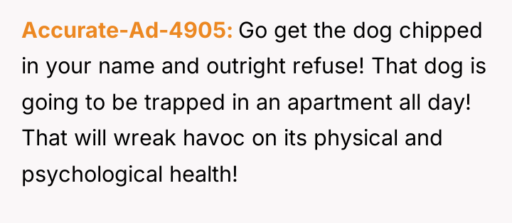 Accurate-Ad-4905 Go get the dog chipped in your name and...
