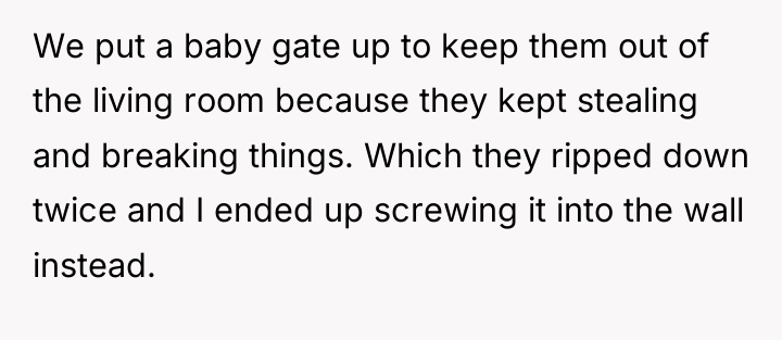 We put a baby gate up to keep them out...