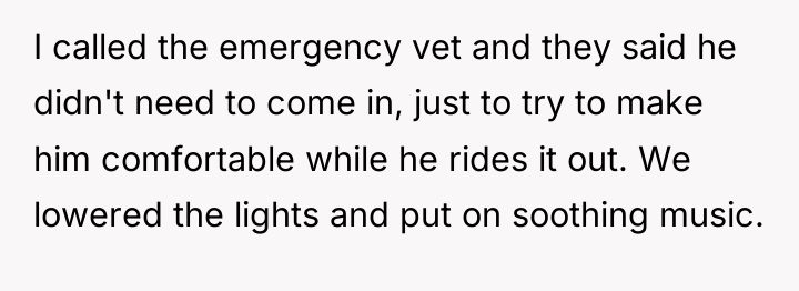 I called the emergency vet and they said he didn't...