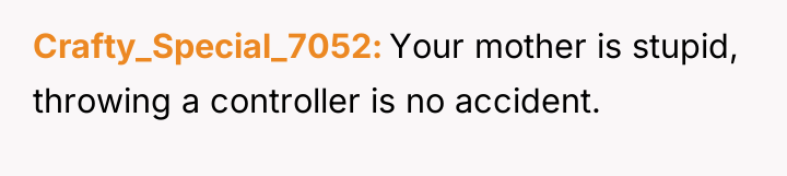 Crafty_Special_7052 Your mother is stupid, throwing a controller is no...