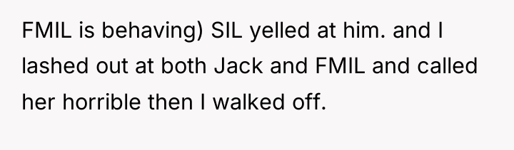 FMIL is behaving) SIL yelled at him. and I lashed...