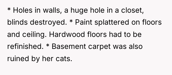 * Holes in walls, a huge hole in a closet,...