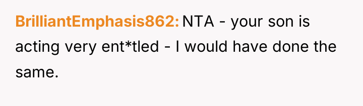 BrilliantEmphasis862 NTA - your son is acting very ent*tled -...