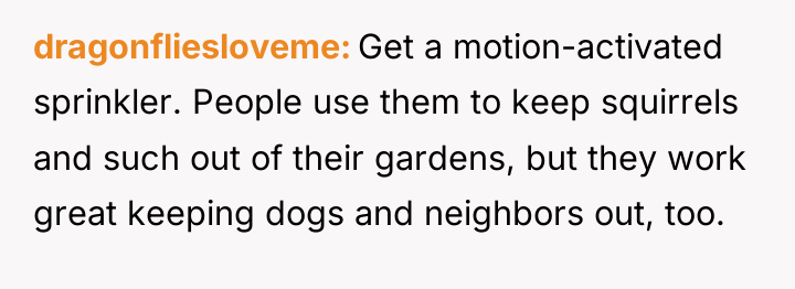 dragonfliesloveme Get a motion-activated sprinkler. People use them to keep...