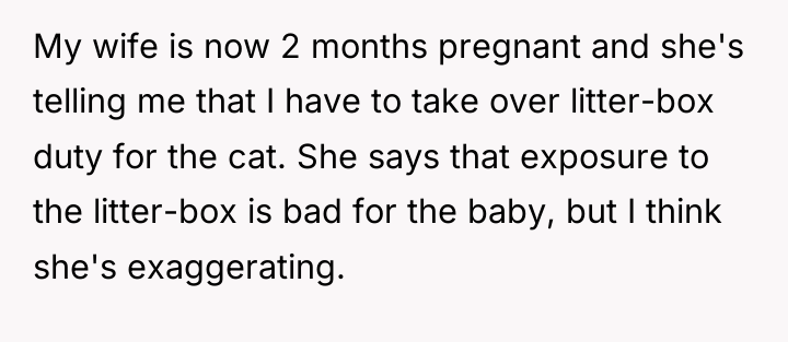 My wife is now 2 months pregnant and she's telling...