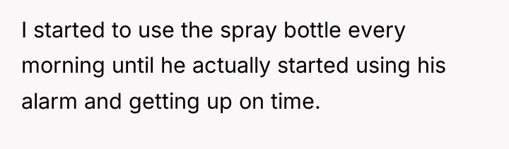 I started to use the spray bottle every morning until...