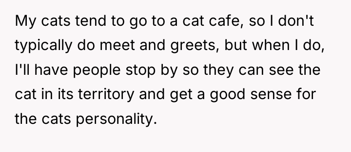 My cats tend to go to a cat cafe, so...