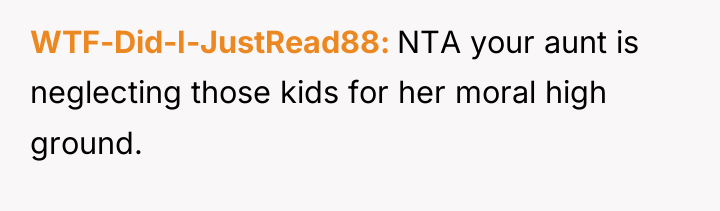 WTF-Did-I-JustRead88 NTA your aunt is neglecting those kids for her...