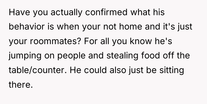 Have you actually confirmed what his behavior is when your...