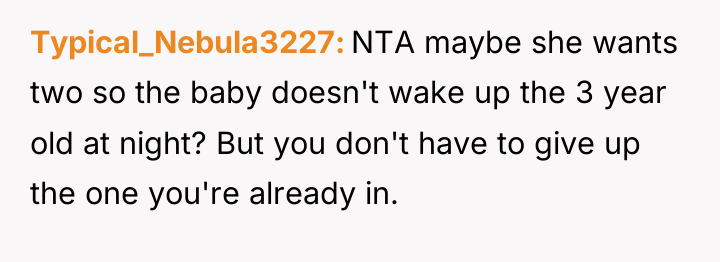 Typical_Nebula3227 NTA maybe she wants two so the baby doesn't...