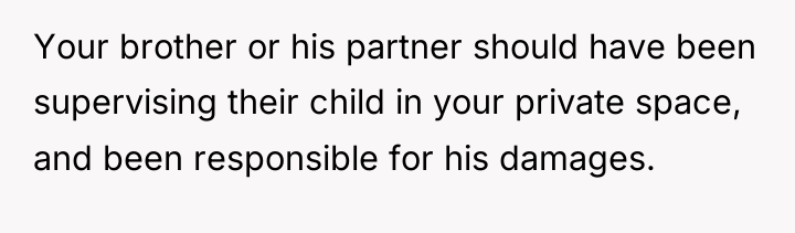 Your brother or his partner should have been supervising their...