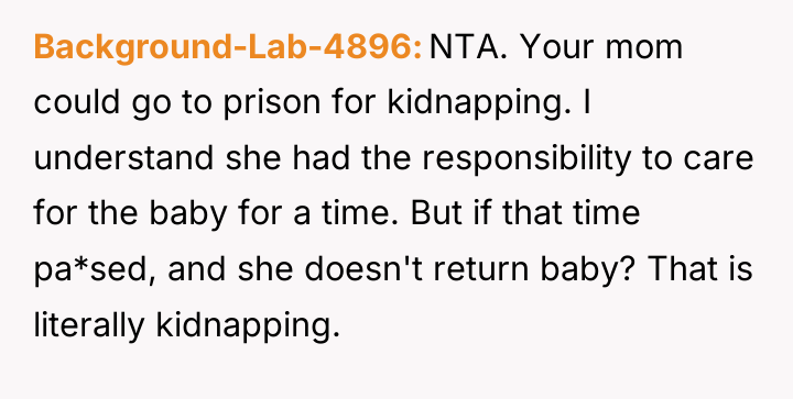 Background-Lab-4896 NTA. Your mom could go to prison for kidnapping....