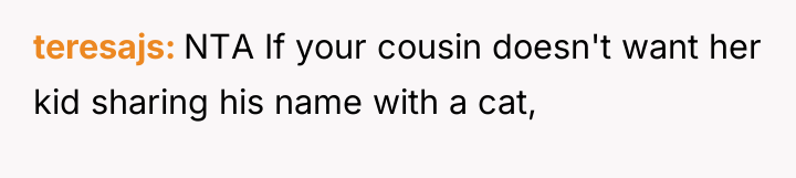 teresajs NTA If your cousin doesn't want her kid sharing...