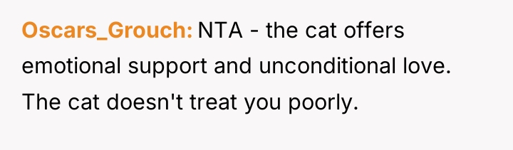 Oscars_Grouch NTA - the cat offers emotional support and unconditional...