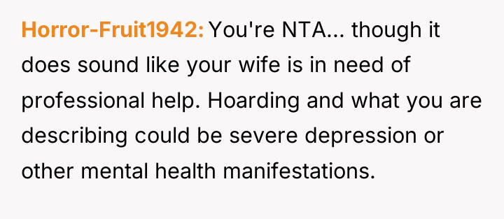 Horror-Fruit1942 You're NTA... though it does sound like your wife...