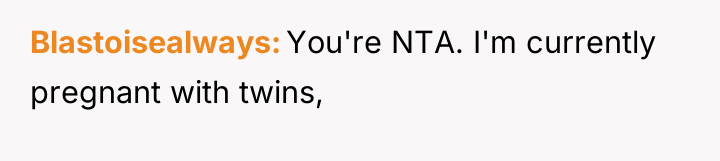 Blastoisealways You're NTA. I'm currently pregnant with twins,