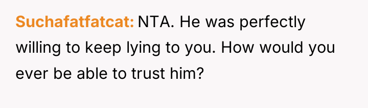 Suchafatfatcat NTA. He was perfectly willing to keep lying to...