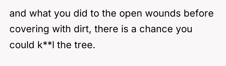 and what you did to the open wounds before covering...