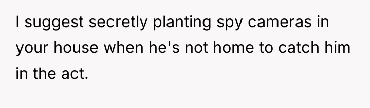 I suggest secretly planting spy cameras in your house when...