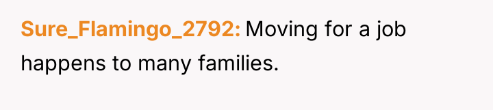 Sure_Flamingo_2792 Moving for a job happens to many families.