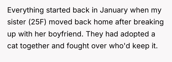 Everything started back in January when my sister (25F) moved...