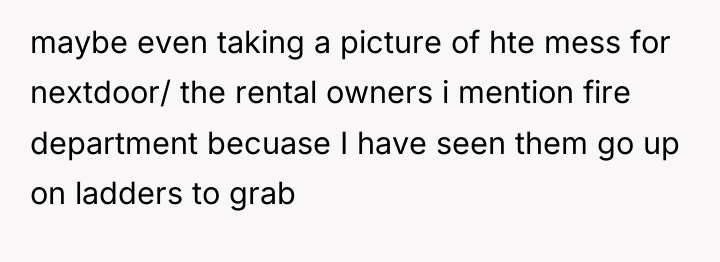 maybe even taking a picture of hte mess for nextdoor/...