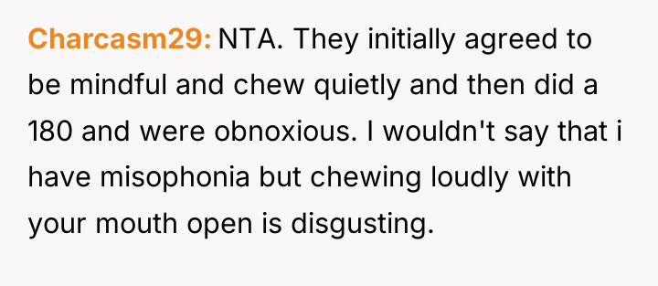 Charcasm29 NTA. They initially agreed to be mindful and chew...