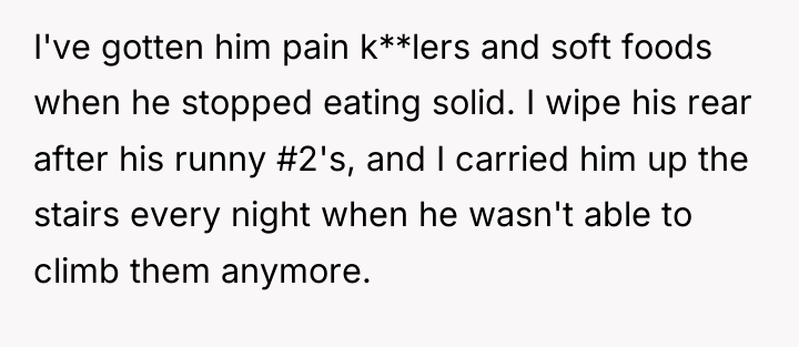 I've gotten him pain k**lers and soft foods when he...