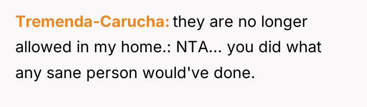 Tremenda-Carucha they are no longer allowed in my home.: NTA......