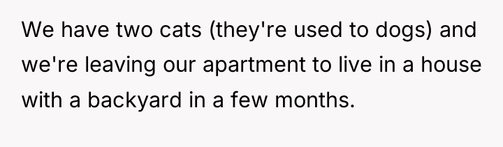 We have two cats (they're used to dogs) and we're...