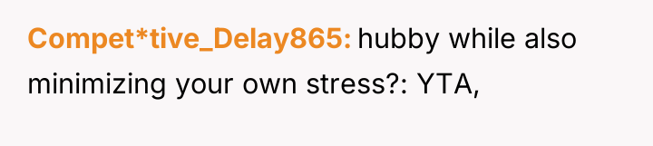 Compet*tive_Delay865 hubby while also minimizing your own stress?: YTA,