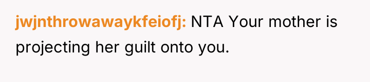 jwjnthrowawaykfeiofj NTA Your mother is projecting her guilt onto you.